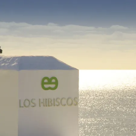 Ereza Hibiscos - Adults Only