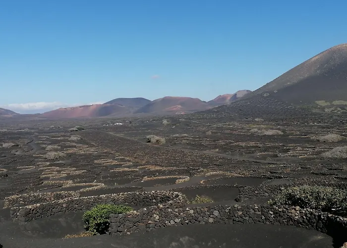 Apartamento Ereza Hibiscos - Adults Only Puerto del Carmen (Lanzarote)