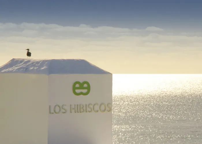 Ereza Hibiscos - Adults Only