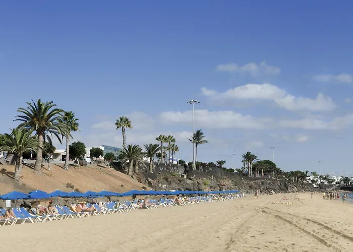 Ereza Hibiscos - Adults Only 푸에르토 델 카르멘